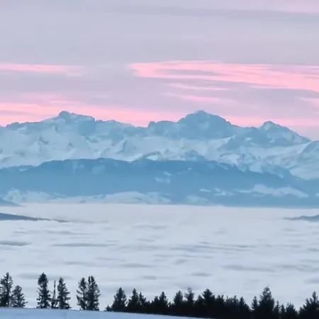 Bio- Und Wellnesshotel Alpenblick Höchenschwand