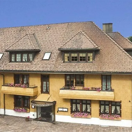 Bio- Und Wellnesshotel Alpenblick Hotel Höchenschwand