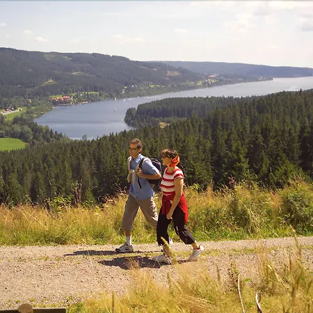 Hotell Bio- Und Wellnesshotel Alpenblick 4*