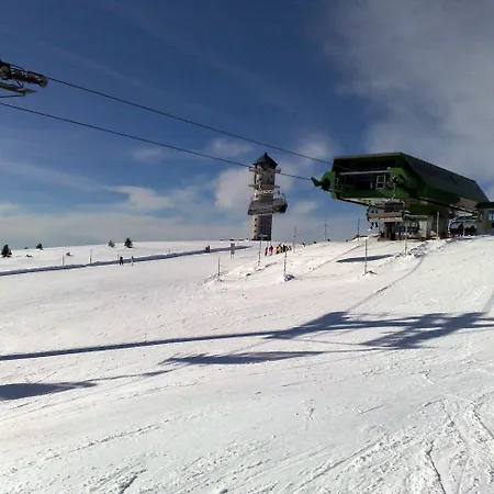 Bio- Und Wellnesshotel Alpenblick Höchenschwand