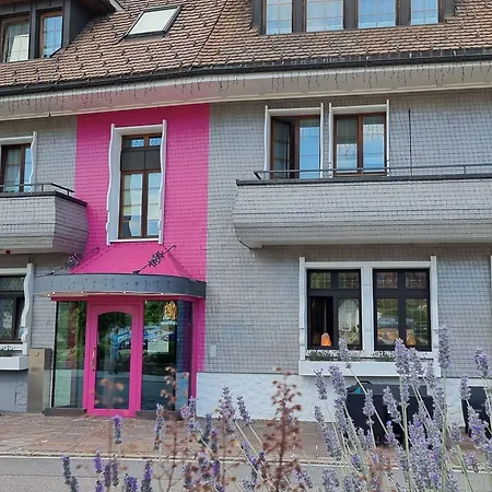 Bio- Und Wellnesshotel Alpenblick Hotel Höchenschwand