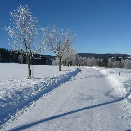 Bio- Und Wellnesshotel Alpenblick Höchenschwand
