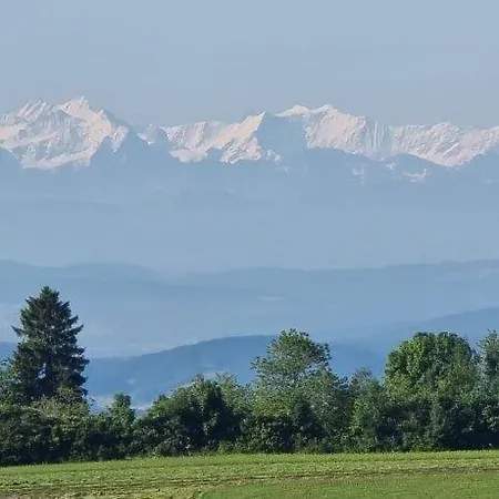 Bio- Und Wellnesshotel Alpenblick 4* Höchenschwand
