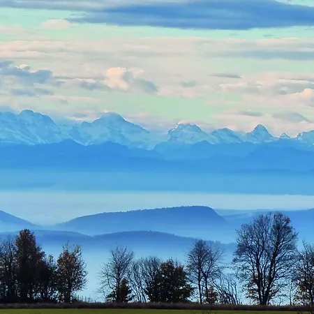 Bio- Und Wellnesshotel Alpenblick