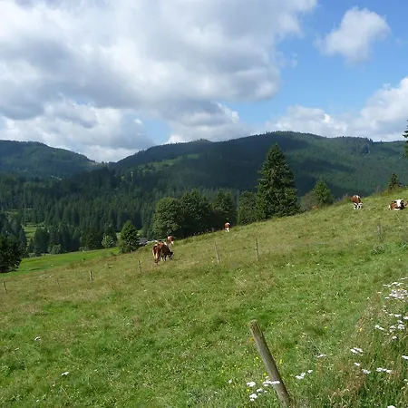 Bio- Und Wellnesshotel Alpenblick