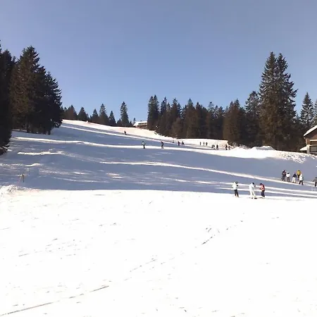 Bio- Und Wellnesshotel Alpenblick Hotell Höchenschwand