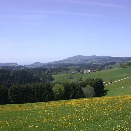 Bio- Und Wellnesshotel Alpenblick Höchenschwand